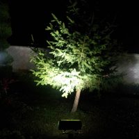 نورپردازی و روشنایی ویلای شخصی نمک آبرود