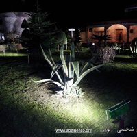 نورپردازی باغ و باغچه
