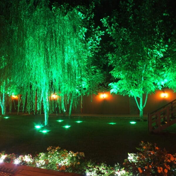 نورپردازی باغ و باغچه