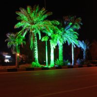 روشنایی و نورپردازی خیابانی