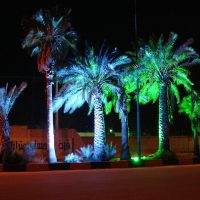 روشنایی و نورپردازی خیابانی