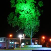 روشنایی و نورپردازی خیابانی