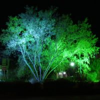 روشنایی و نورپردازی خیابانی