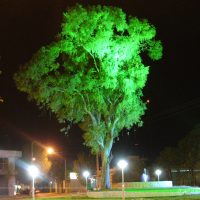 نورپردازی شهری لار