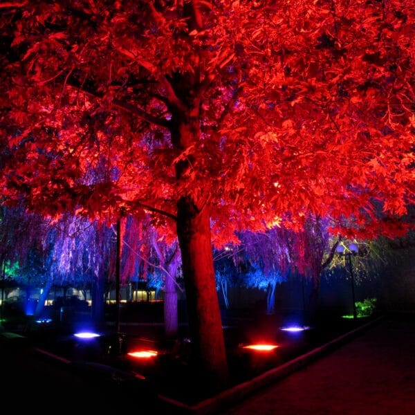 نورپردازی پارک ولایت