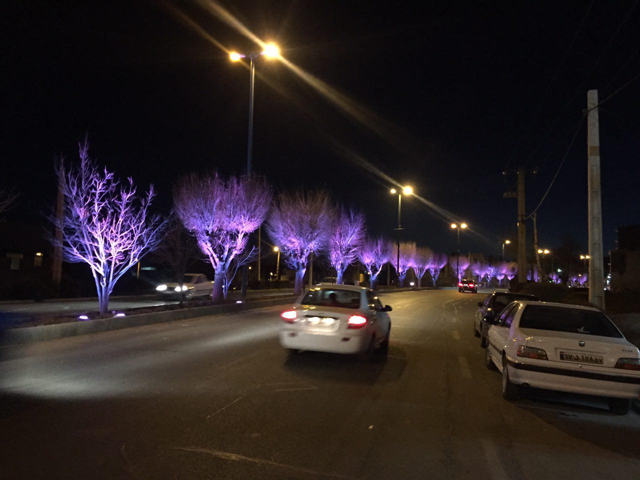 نورپردازی خیابانی شهرستان محلات