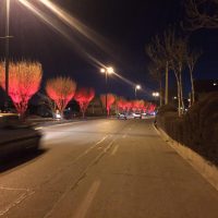 نورپردازی بلوار شهید بهشتی محلات